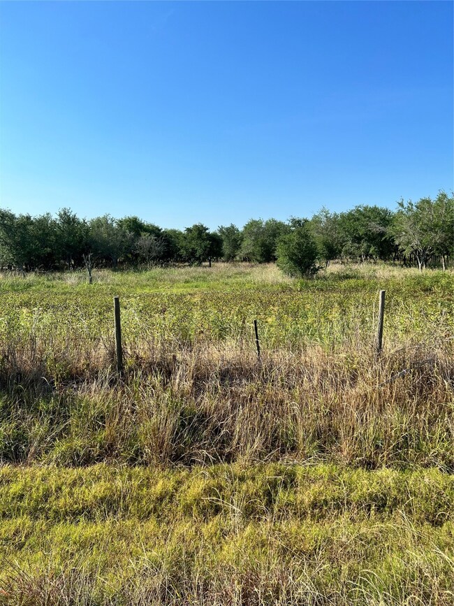 13404 Buls Rd, East Bernard, TX 77435 - photo 6