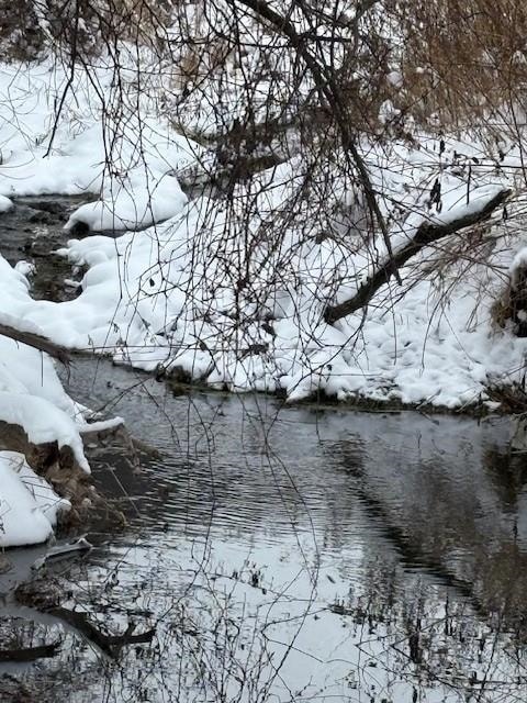 20497 Hady Ln, Gays Mills, WI 54631 - photo 2