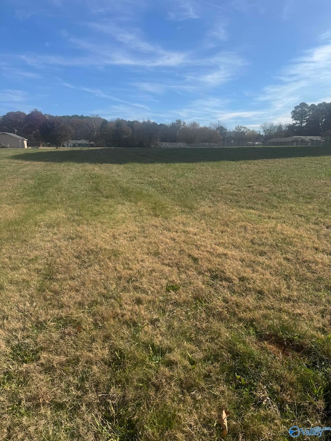 7682 Wall Triana Hwy, Harvest, AL 35749 - photo 4