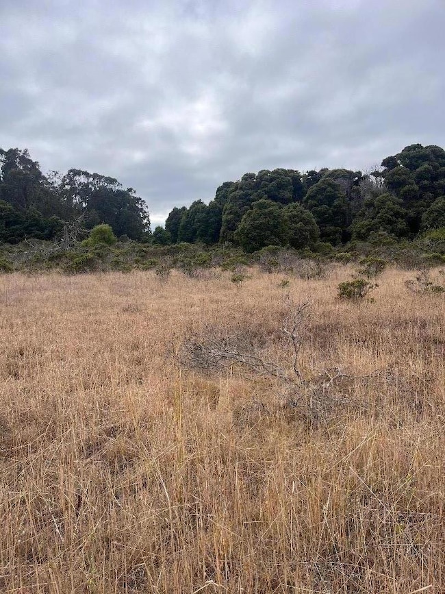 200 Dolores Ave, Half Moon Bay, CA 94019 - photo 6