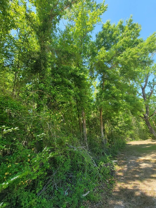 0 S Hwy 27 unit 27320, Geneva, AL 36340 - photo 7