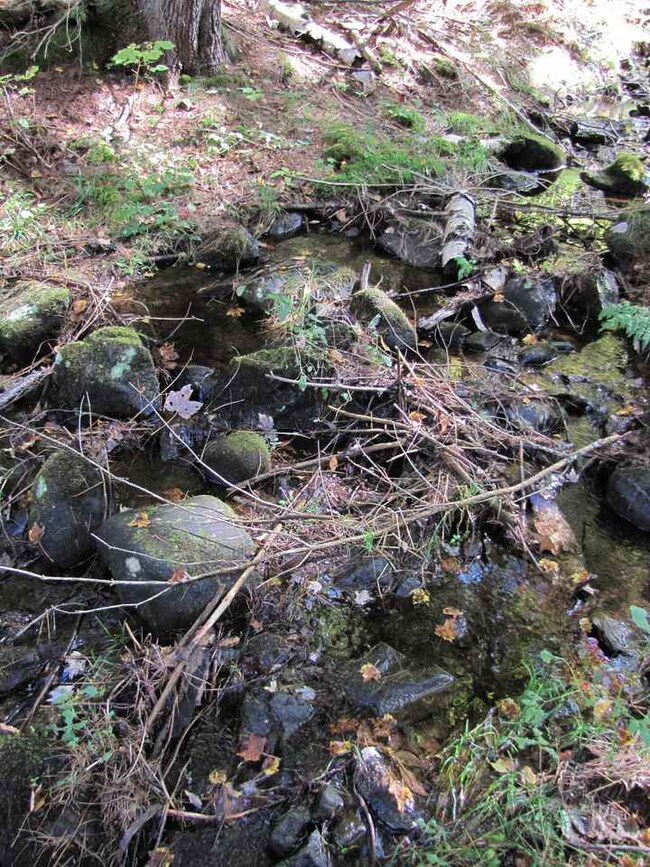 000 Skinny Ridge Rd unit Lot  7, Lyman, NH 03585 - photo 6