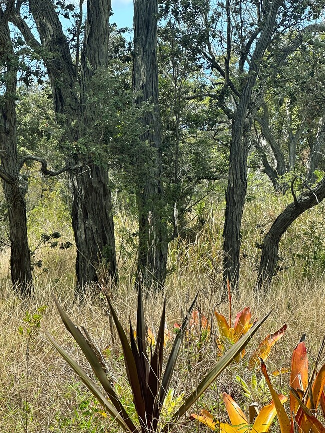 0 Coral Pkwy unit 721311, Ocean View, HI 96737 - photo 2