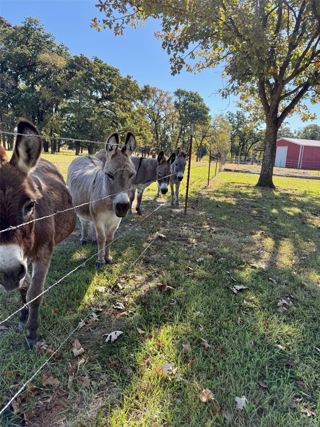 11631 Hiram Rd, Wills Point, TX 75169 - photo 7