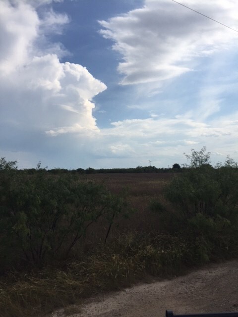 10850 Paisano Ln unit 1B, San Angelo, TX 76904 - photo 3