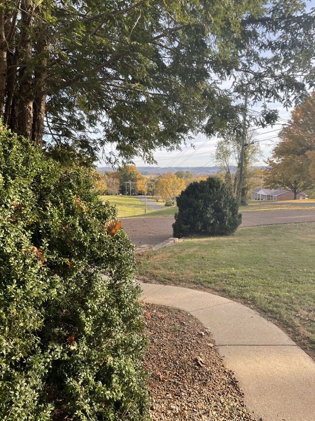 Check out that view!