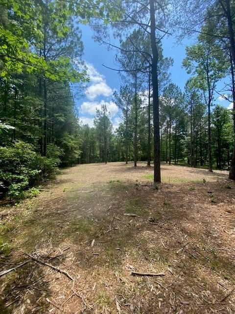 View of wooded area