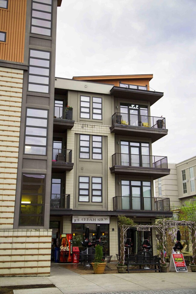 Walnut st-0037.jpg