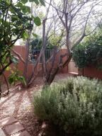 Backyard #1