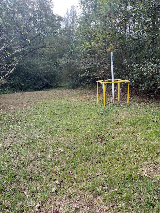 1069 Morgantown Rd, McComb, MS 39648 - photo 3