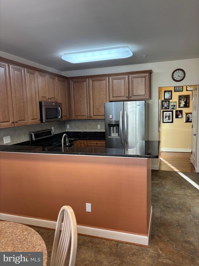 7300 Travertine Dr unit 302, Baltimore, MD 21209 - photo 7