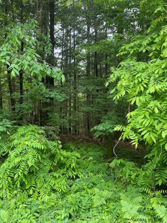 0 Parker Rd unit 202119719, Hadley, NY 12835 - photo 4