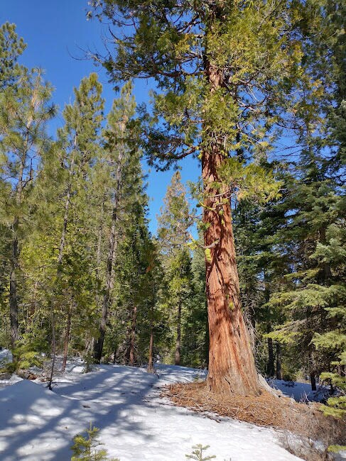 Lot 37 Kodiak Ln, Bonanza, OR 97623 - photo 7