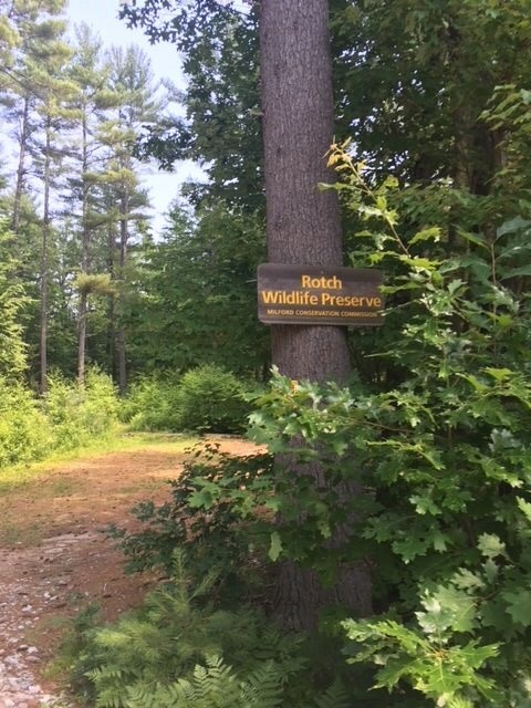 83 Ruonala Rd, Milford, NH 03055 - photo 5