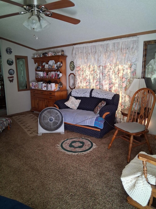 675 N Dade 181, Greenfield, MO 65661 - photo 3