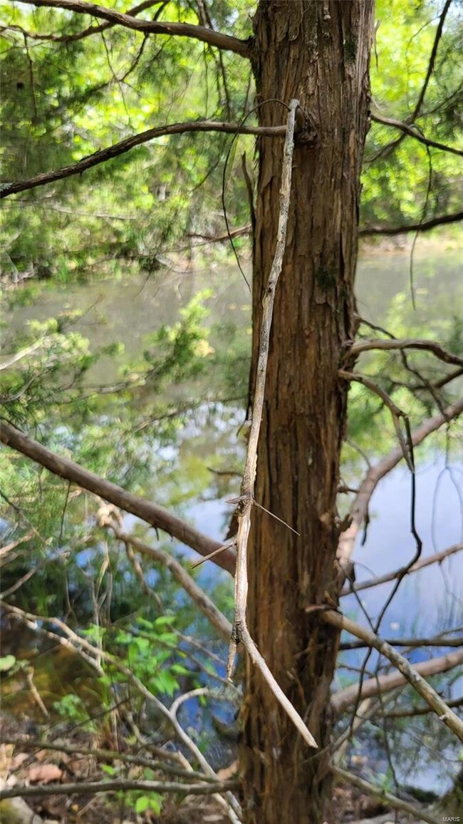 10059 133-203n, Union Township, MO 65459 - photo 7