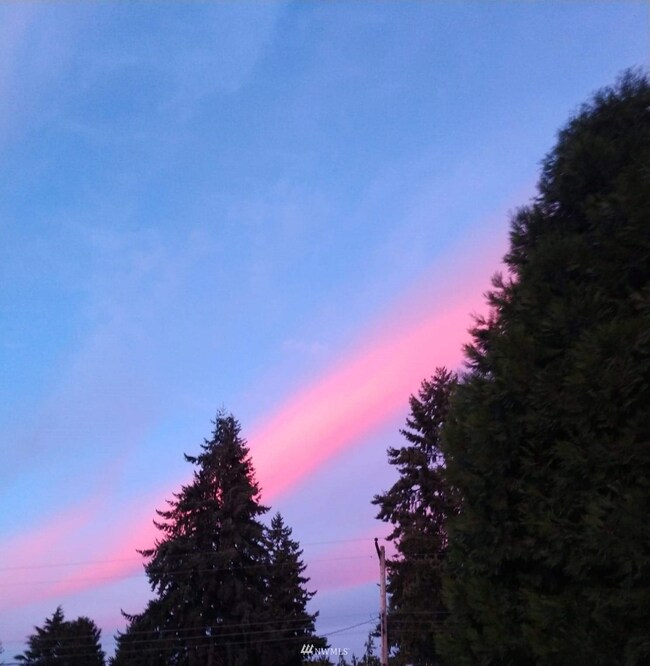 29011 38th Ave S, Auburn, WA 98001 - photo 3