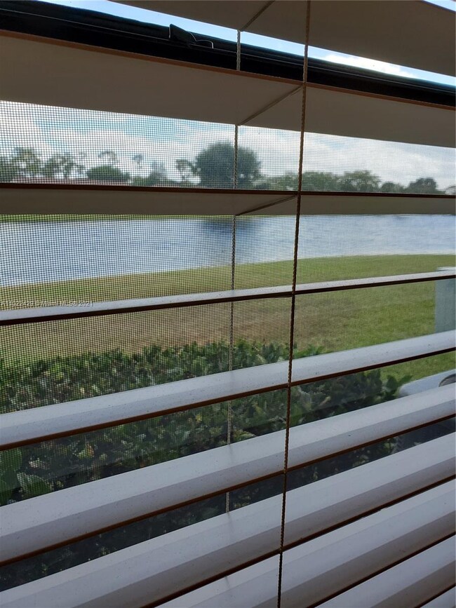 View from Living Room