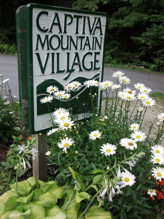 4567 4 5 6 7 Captiva Mountain Drive Cullowhee Nc 28723 Dr, Cullowhee, NC 28723 - photo 3