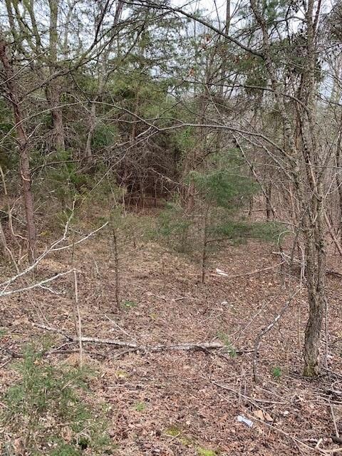 Plenty of woods for year round privacy