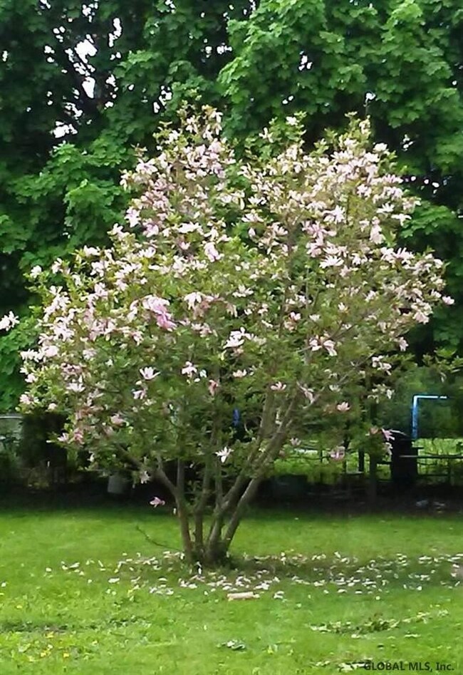 14 Garden St, Albany, NY 12209 - photo 3