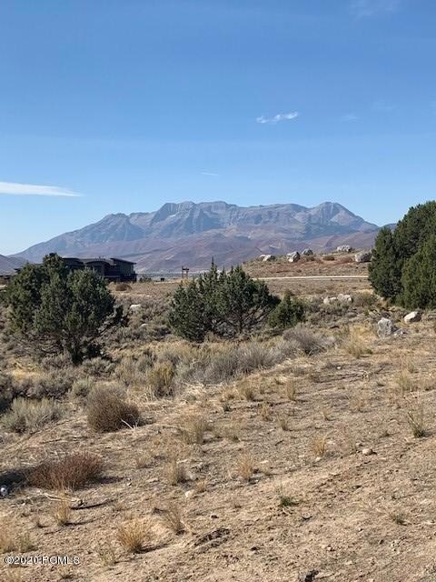 Lot 463 5
