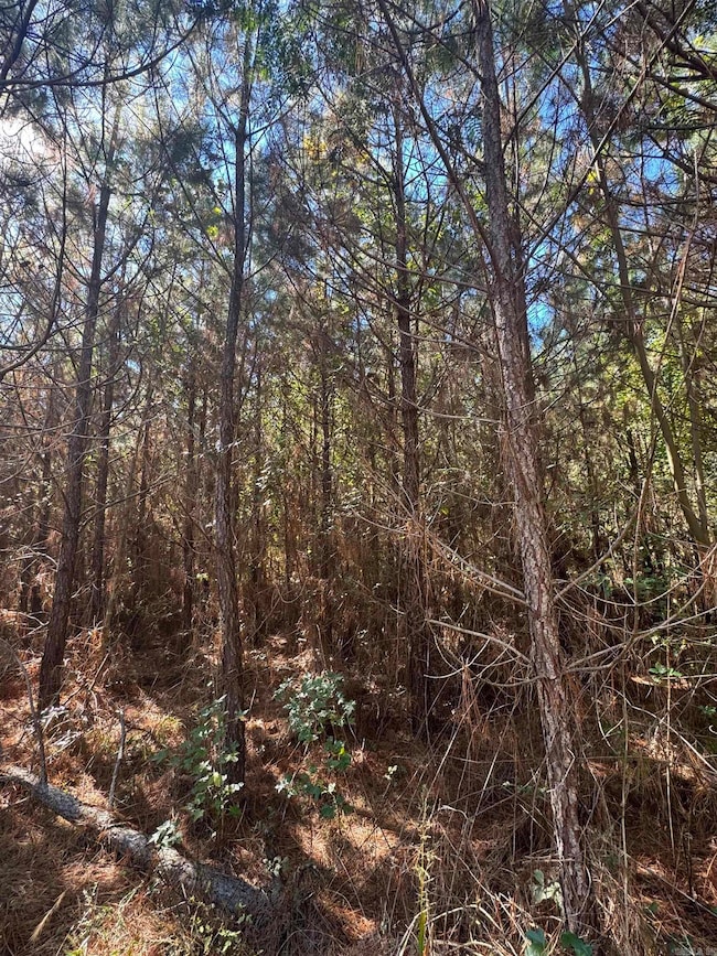 0 Nw1 4 Nw1 4 Section 28 Township 17s Range 18w unit 25048632, El Dorado, AR 71730 - photo 6