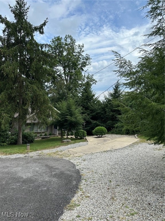 View of dirt / gravel road