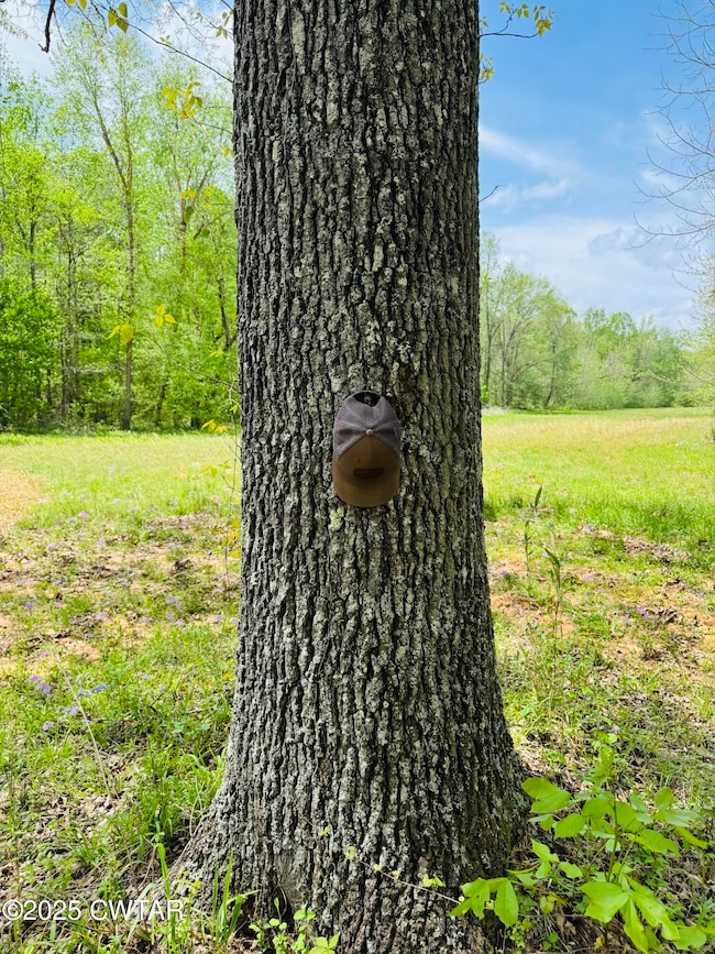 0 Highway 100, Medon, TN 38356 - photo 2