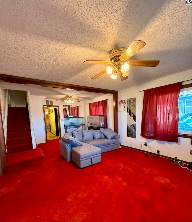 313 W 1st St, Newton, KS 67114 - photo 3