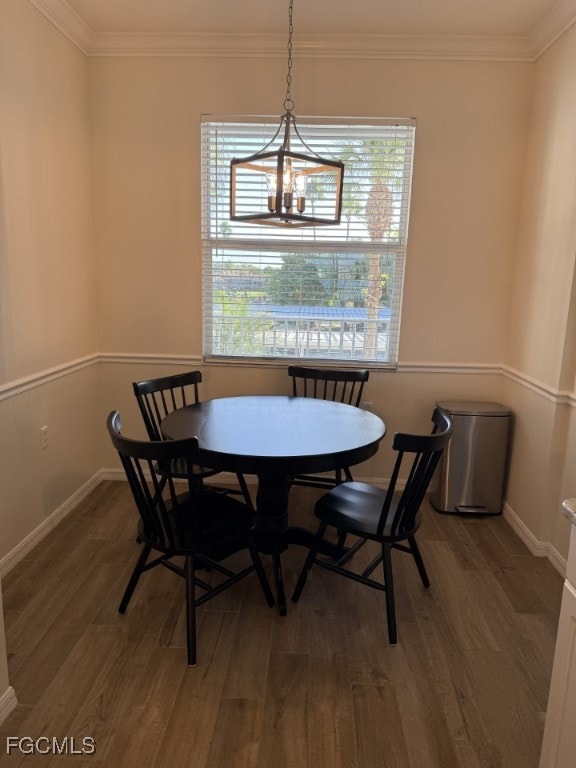 Dining room featuring dark wood-style floors and crown molding