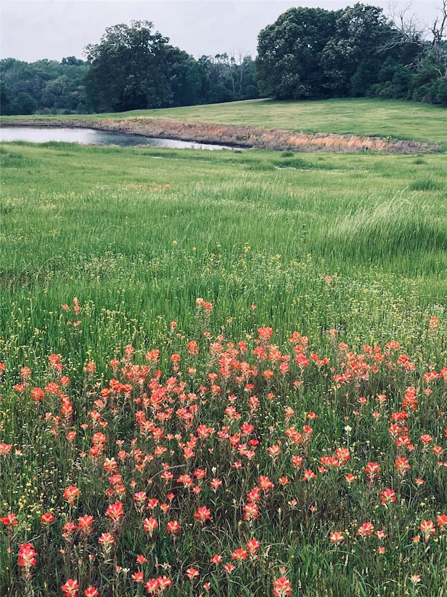 Pretty wildflowers by the pond. Sit down and enjoy