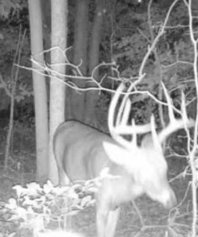 7100 225 W, Versailles, IN 47042 - photo 2