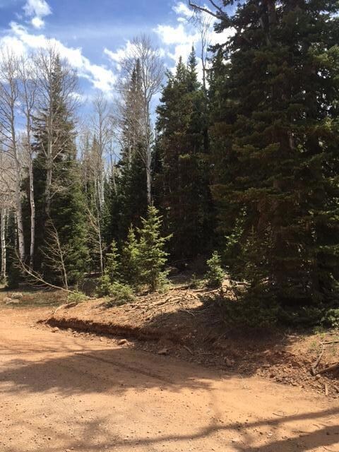 0 5 Ac Dry Lakes Rd unit Green Meadow Acres, Brian Head, UT 84719 - photo 5