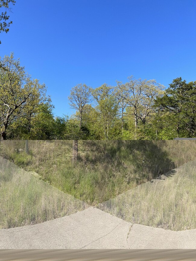 131 Oregon Ln, Ruth B Rural Township, MO 65686 - photo 2