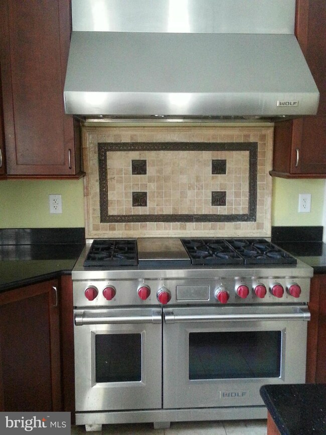 12732 Banner Plantation Dr, Fredericksburg, VA 22407 - photo 6