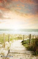 Beach photo
