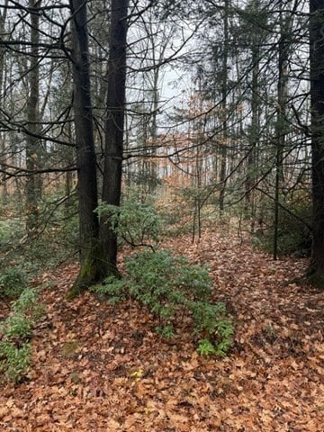 0 Wendell Depot Rd, Wendell, MA 01379 - photo 6