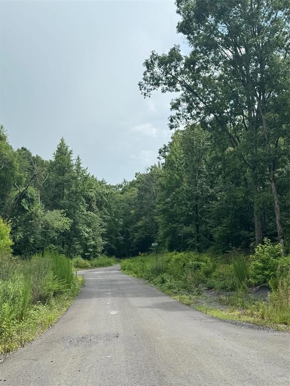 132 Western Cedar Trail, Hochatown, OK 74728 - photo 3