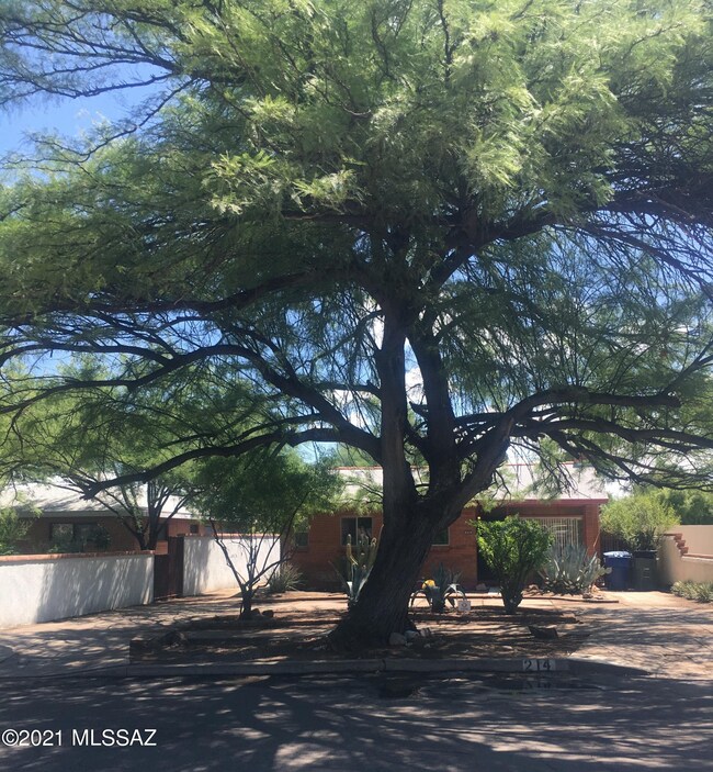 214 N Wilson Ave, Tucson, AZ 85719 - photo 2