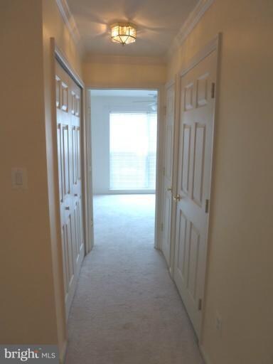 2511 Shelley Cir unit 2D, Frederick, MD 21702 - photo 3