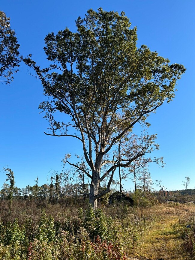 2 Beautiful Home Site