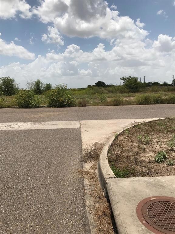 Lot 74 / 1729 Megan St, Donna, TX 78537 - photo 3