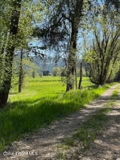 IMG_0877