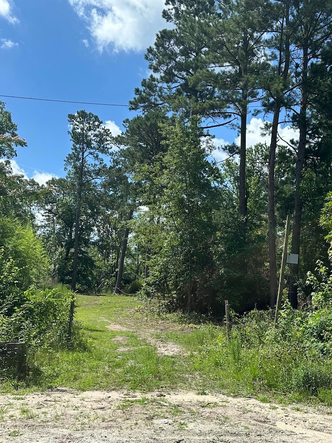 170 Pressley Ln, Hephzibah, GA 30815 - photo 2