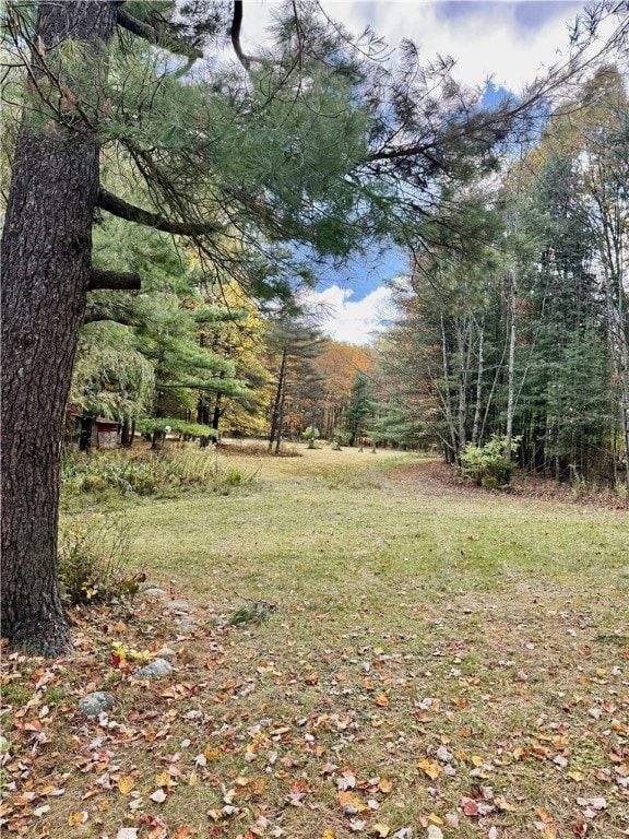 181 Nelson Rd, Ithaca, NY 14850 - photo 2