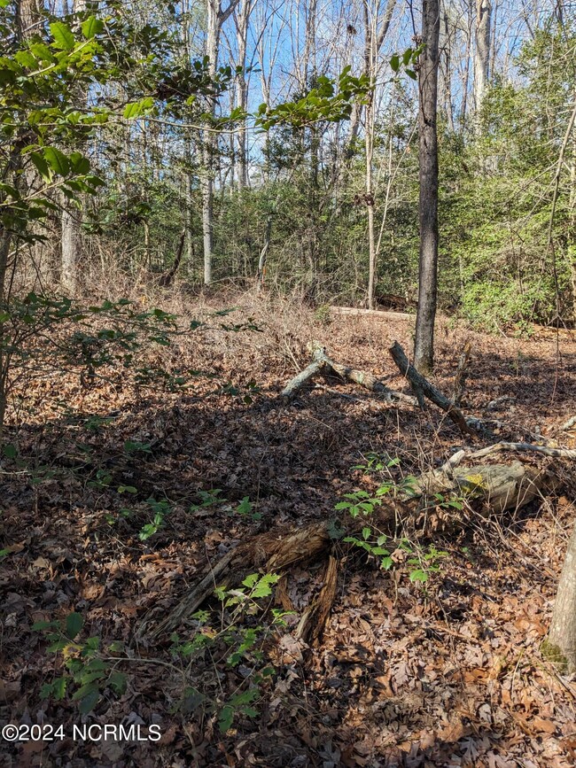 PXL_20240215_173624812