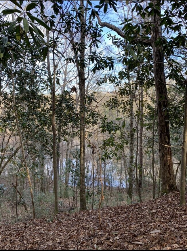 00 Sablefish Ln, Red Level, AL 36474 - photo 4