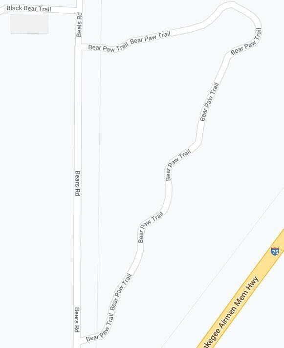 28 & 29 Cubs Way, Vanderbilt, MI 49795 - photo 2