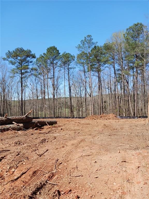 3737 Highway 20, McDonough, GA 30252 - photo 3